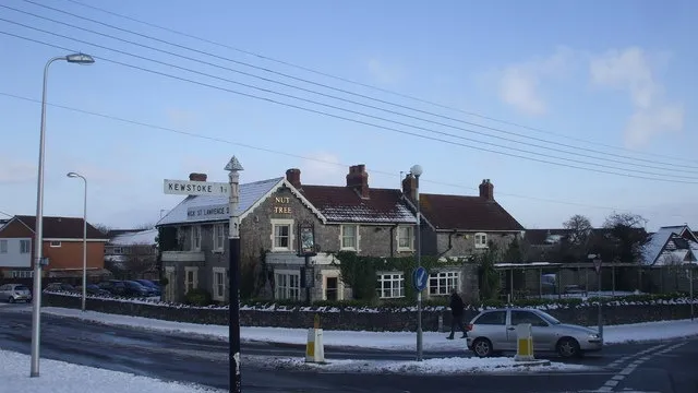 The Nut Tree Pub in Weston-super-Mare
