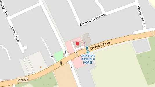 The Dandelion Tavern in Widnes