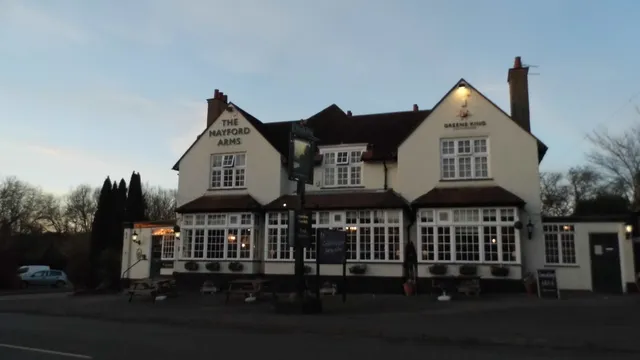 The Drumming Snipe in Woking
