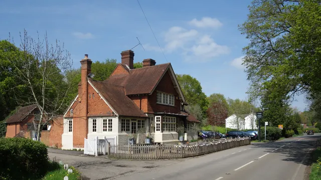 The Olive Tree in Woking